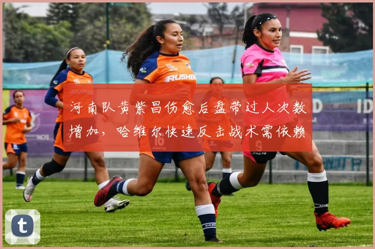 河南队黄紫昌伤愈后盘带过人次数增加，哈维尔快速反击战术需依赖其爆点